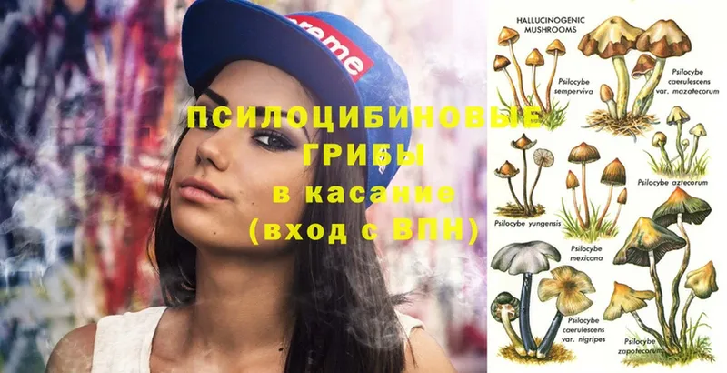 Псилоцибиновые грибы Magic Shrooms  Красноуральск 